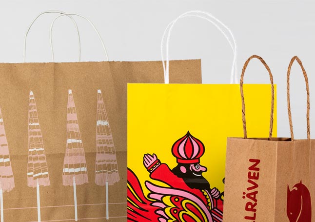 Paper Printed Shopping Bag, Packaging Type: Packet