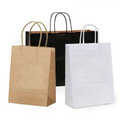 Retail Paper Shopping Bags with Twisted Handles